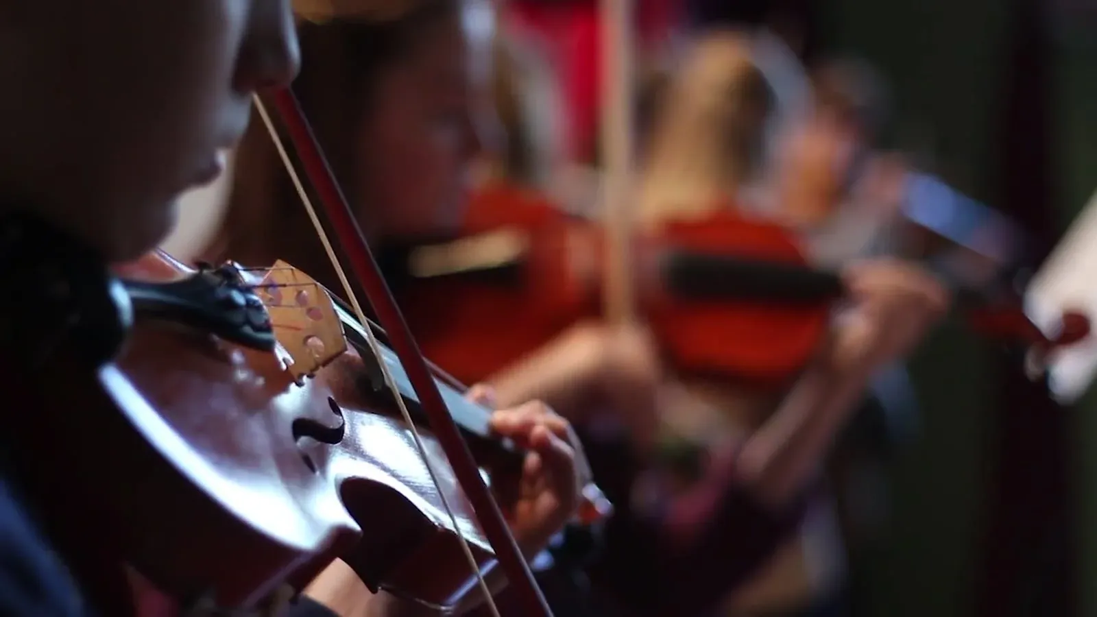 Strygere spiller violin til begravelse